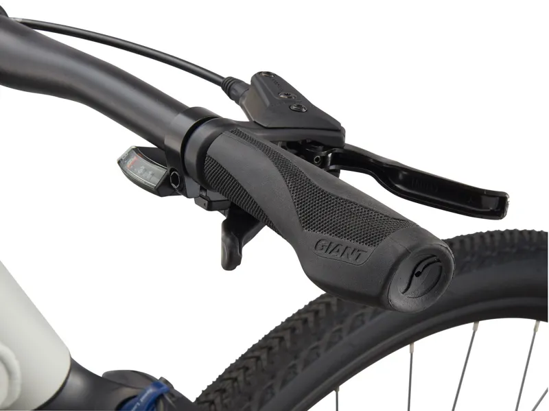 2021 Giant Roam 3 Disc Hybrid Bike in Grey-4