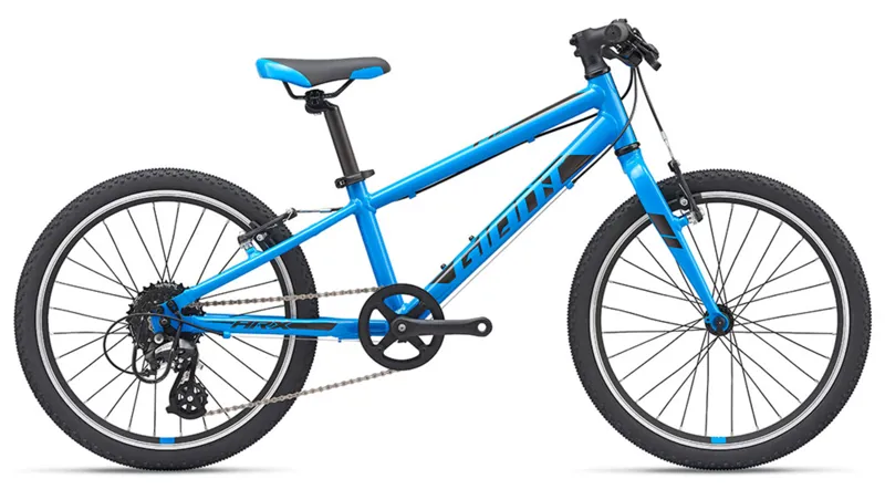 bicycle blue