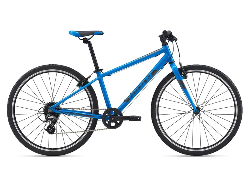 2021 Giant ARX 26 Kids Bike in Blue