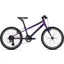 Giant ARX 20 Kid's Bike in Purple