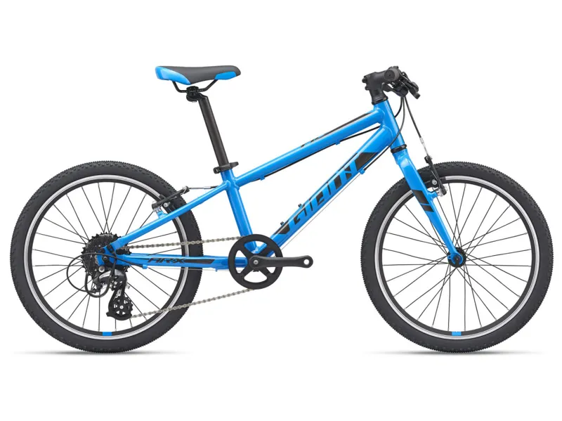 2021 Giant ARX 20 Kids Bike in Blue