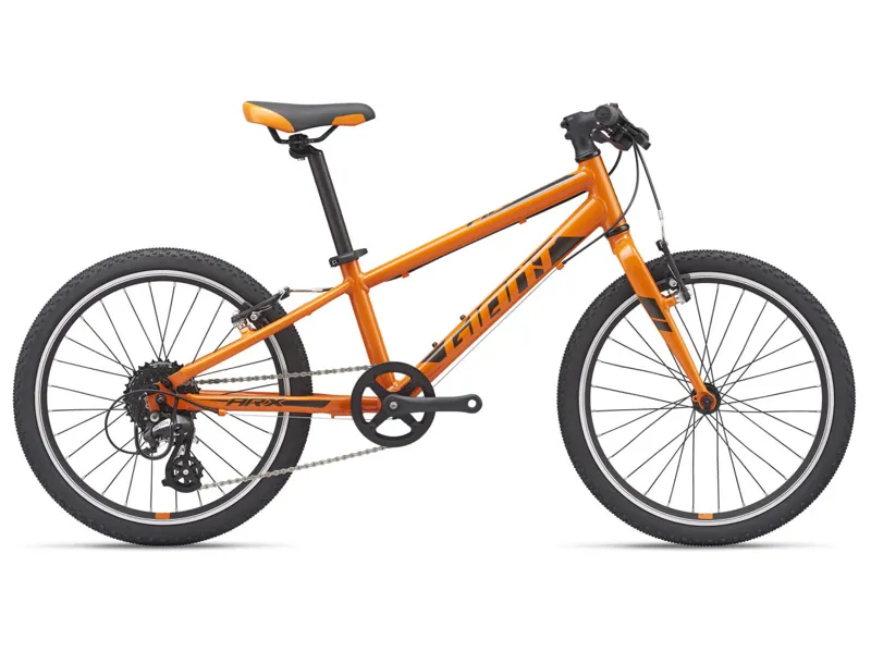 2021 Giant ARX 20 Kids Bike in Orange