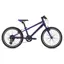 2021 Giant ARX 20 Kids Bike in Purple